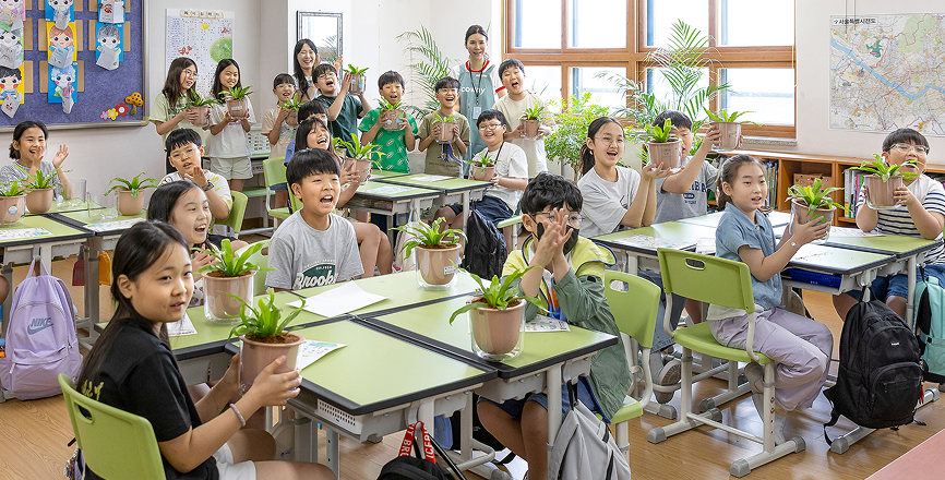 Classroom Forest